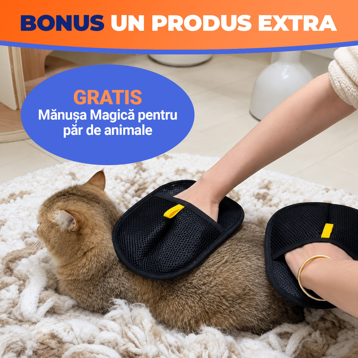 Kit Pisica Fericită