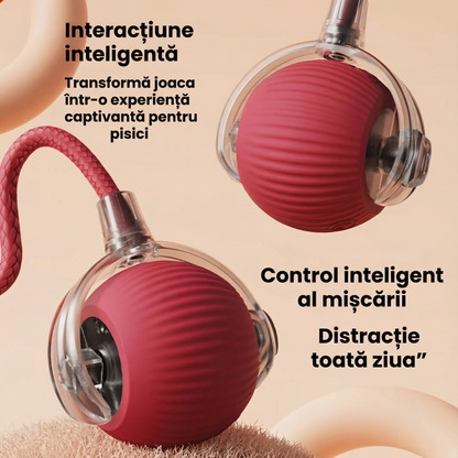 Minge Interactivă pentru Pisici cu LED