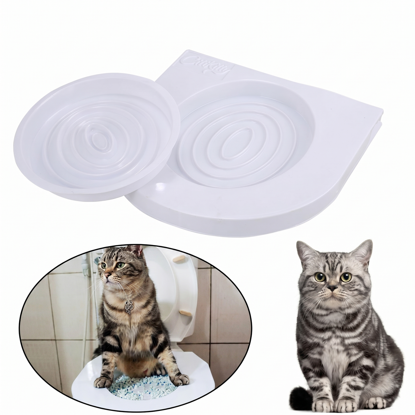 Kit pentru Educarea Pisicilor la Toaletă