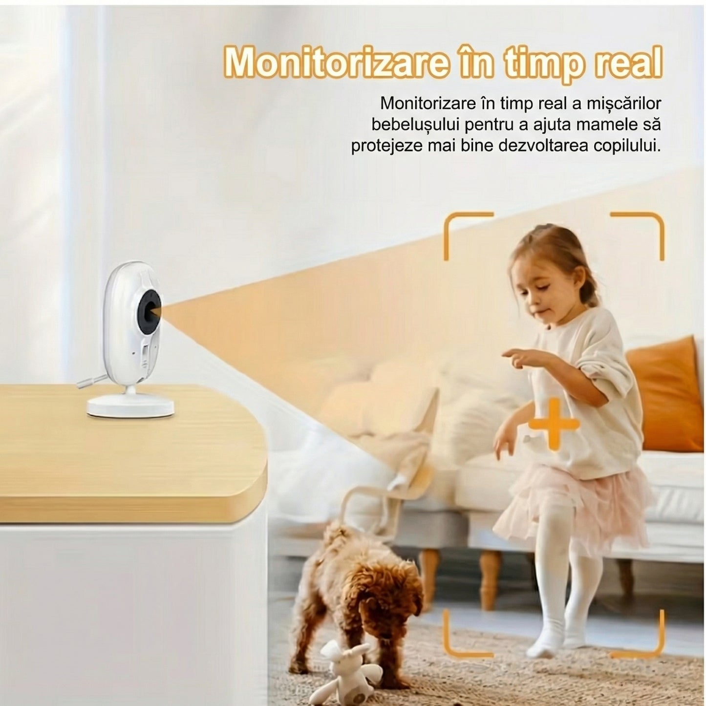 Monitor cu Cameră