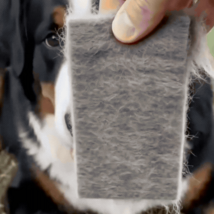 FurMaster - Pieptene Profesional pentru Animale