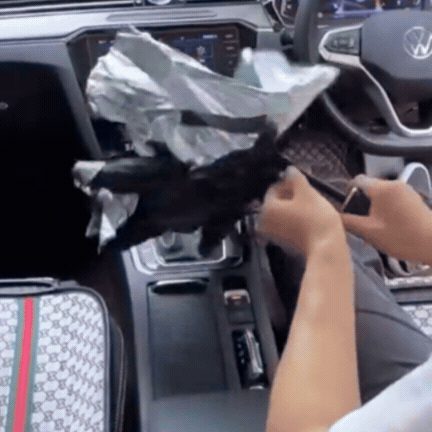 Parasolar Premium din Titan - Protecție Termică și Împotriva Razelor UV pentru Parbriz